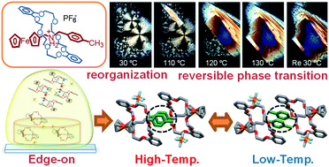 Graphical abstract: Self-assembly of pseudorotaxane films with thermally reversible crystal phases and optical properties