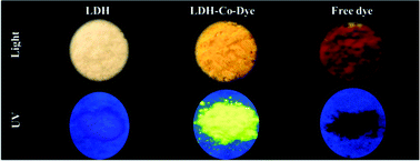 Graphical abstract: Highly luminescent covalently bonded layered double hydroxide–fluorescent dye nanohybrids