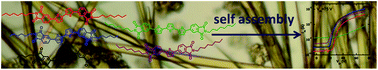 Graphical abstract: Phthalimide–thiophene-based conjugated organic small molecules with high electron mobility