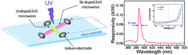 Graphical abstract: A highly efficient UV photodetector based on a ZnO microwire p–n homojunction