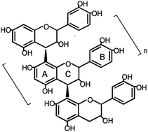 Graphical abstract: Protective role of grape seed proanthocyanidins against cadmium induced hepatic dysfunction in rats