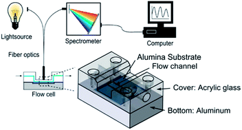 Graphical abstract: Binding assay for low molecular weight analytes based on reflectometry of absorbing molecules in porous substrates