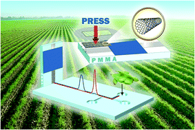 Graphical abstract: Fast and reliable class-selective isoflavone index determination on carbon nanotube press-transferred electrodes using microfluidic chips