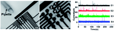 Graphical abstract: Simultaneous study of subcellular exocytosis with individually addressable multiple microelectrodes