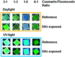 Graphical abstract: Coumarin meets fluorescein: a Förster resonance energy transfer enhanced optical ammonia gas sensor
