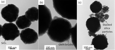 Graphical abstract: Preparation of hydrazine functionalized polymer brushes hybrid magnetic nanoparticles for highly specific enrichment of glycopeptides