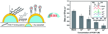 Graphical abstract: Label-free selective SERS detection of PCB-77 based on DNA aptamer modified SiO2@Au core/shell nanoparticles