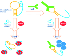 Graphical abstract: Label-free colorimetric aptasensor for IgE using DNA pseudoknot probe