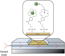 Graphical abstract: Monolayer detection of ion binding at a crown ether-functionalised supramolecular surface via an integrated optical Bragg grating