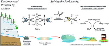 Graphical abstract: An Ru(ii)–Fe(iii) bimetallic complex as a multifunctional device for detecting, signal amplifying, and degrading oxalate