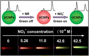 Graphical abstract: Upconversion nanoparticles for ratiometric fluorescence detection of nitrite