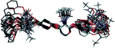 Graphical abstract: NMR-based dynamics of free glycosaminoglycans in solution