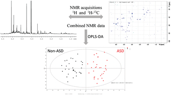 Graphical abstract: Combined 1H-NMR and 1H–13C HSQC-NMR to improve urinary screening in autism spectrum disorders