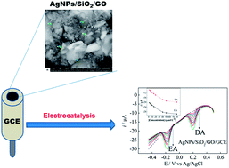Graphical abstract: Simultaneous determination of epinephrine and dopamine by electrochemical reduction on the hybrid material SiO2/graphene oxide decorated with Ag nanoparticles