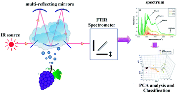 Graphical abstract: Analysis and discrimination of grape spoilage via volatiles: a comparison between long optical path Fourier-transform-infrared spectroscopy and sensor arrays