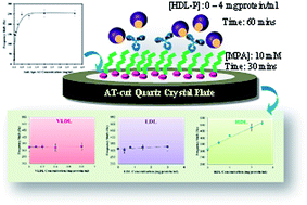 Graphical abstract: A piezoelectric-based immunosensor for high density lipoprotein particle measurement