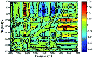 Graphical abstract: A multi-scale approach of the mechanisms underlying exopolysaccharide auto-organization in the Proteus mirabilis extracellular matrix