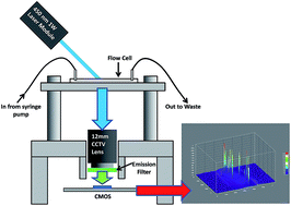 Graphical abstract: Webcam-based flow cytometer using wide-field imaging for low cell number detection at high throughput