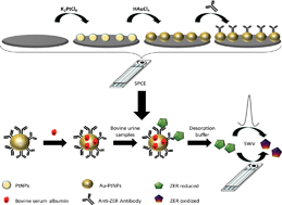 Graphical abstract: Food safety control of zeranol through voltammetric immunosensing on Au–Pt bimetallic nanoparticle surfaces