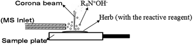 Graphical abstract: Direct analysis of quaternary alkaloids by in situ reactive desorption corona beam ionization MS