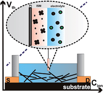 Graphical abstract: Selective ion-sensing with membrane-functionalized electrolyte-gated carbon nanotube field-effect transistors