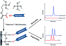 Graphical abstract: Facile one-pot synthesis of a aptamer-based organic–silica hybrid monolithic capillary column by “thiol–ene” click chemistry for detection of enantiomers of chemotherapeutic anthracyclines