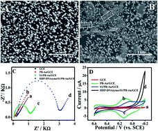 Graphical abstract: Prussian blue–Au nanocomposites actuated hemin/G-quadruplexes catalysis for amplified detection of DNA, Hg2+ and adenosine triphosphate