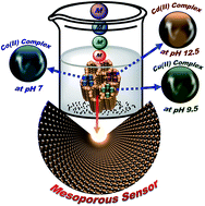 Graphical abstract: Monolithic scaffolds for highly selective ion sensing/removal of Co(ii), Cu(ii), and Cd(ii) ions in water
