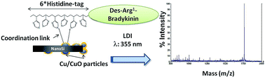 Graphical abstract: Decoration of silicon nanostructures with copper particles for simultaneous selective capture and mass spectrometry detection of His-tagged model peptide