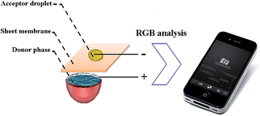 Graphical abstract: Low voltage electrically stimulated lab-on-a-chip device followed by red-green-blue analysis: a simple and efficient design for complicated matrices