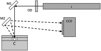 Graphical abstract: Evaluation of back scatter interferometry, a method for detecting protein binding in solution