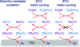 Graphical abstract: Arsenic(iii) detection using electrochemical–chemical–chemical redox cycling at bare indium–tin oxide electrodes