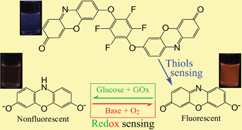 Graphical abstract: Dual-functional probes for sequential thiol and redox homeostasis sensing in live cells