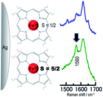 Graphical abstract: Sensitive marker bands for the detection of spin states of heme in surface-enhanced resonance Raman scattering spectra of metmyoglobin