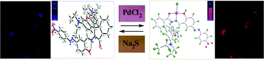 Graphical abstract: An azodye–rhodamine-based fluorescent and colorimetric probe specific for the detection of Pd2+ in aqueous ethanolic solution: synthesis, XRD characterization, computational studies and imaging in live cells