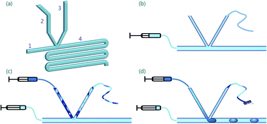 Graphical abstract: “V-junction”: a novel structure for high-speed generation of bespoke droplet flows