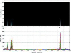 Graphical abstract: The application of a Tchebichef moment method to the quantitative analysis of multiple compounds based on three-dimensional HPLC fingerprint spectra