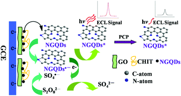 Graphical abstract: Fabrication of graphene oxide decorated with nitrogen-doped graphene quantum dots and its enhanced electrochemiluminescence for ultrasensitive detection of pentachlorophenol