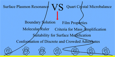 Graphical abstract: Comparison of the different responses of surface plasmon resonance and quartz crystal microbalance techniques at solid–liquid interfaces under various experimental conditions
