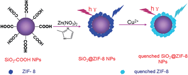 Graphical abstract: Fabrication of fluorescent SiO2@zeolitic imidazolate framework-8 nanosensor for Cu2+ detection