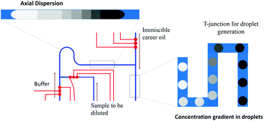 Graphical abstract: On-chip dilution in nanoliter droplets