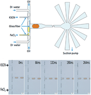 Graphical abstract: Precise quantitative addition of multiple reagents into droplets in sequence using glass fiber-induced droplet coalescence