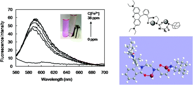 Graphical abstract: Fabrication of novel chemosensors composed of rhodamine derivative for the detection of ferric ion and mechanism studies on the interaction between sensor and ferric ion