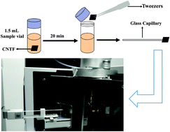 Graphical abstract: Coupling carbon nanotube film microextraction with desorption corona beam ionization for rapid analysis of Sudan dyes (I–IV) and Rhodamine B in chilli oil