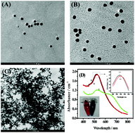 Graphical abstract: A ratiometric colorimetric detection of the folate receptor based on terminal protection of small-molecule-linked DNA
