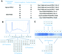 Graphical abstract: Systematic comparison between SDS-PAGE/RPLC and high-/low-pH RPLC coupled tandem mass spectrometry strategies in a whole proteome analysis