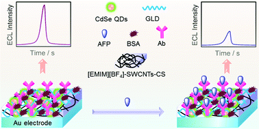 Graphical abstract: Label-free and highly sensitive electrochemiluminescence biosensing using quantum dots/carbon nanotubes in ionic liquid