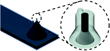 Graphical abstract: Simultaneous imaging of the topography and electrochemical activity of a 2D carbon nanotube network using a dual functional L-shaped nanoprobe