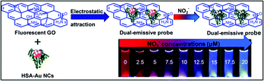 Graphical abstract: Graphene oxide supported gold nanoclusters for the sensitive and selective detection of nitrite ions