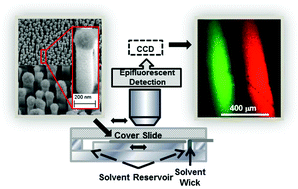 Graphical abstract: Nanoscale pillar arrays for separations